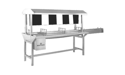 inspection conveyor